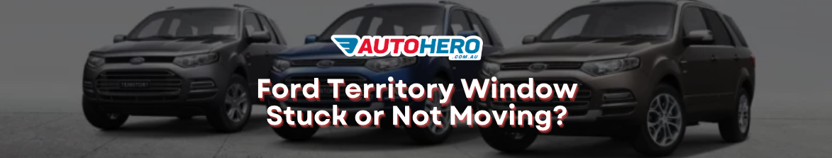 Ford Territory Window
Stuck or Not Moving?